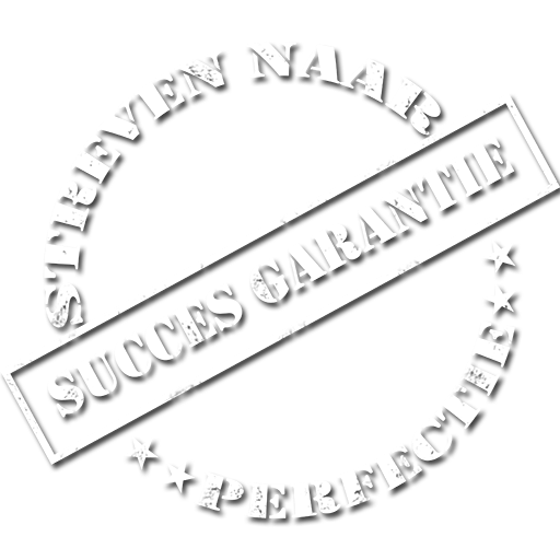 Succes garantie streven naar perfectie